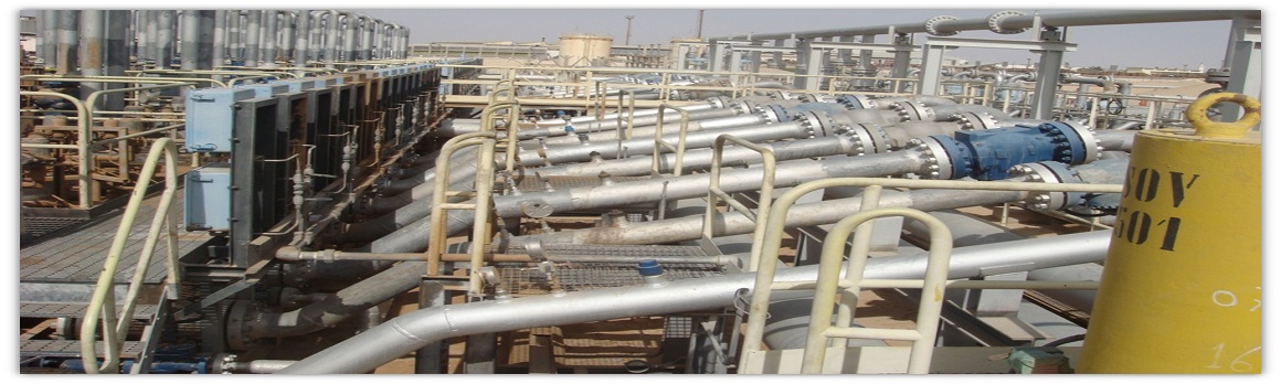 Project Name: A/100 Low Pressure Facilities and Arrival Manifold Modifications Project